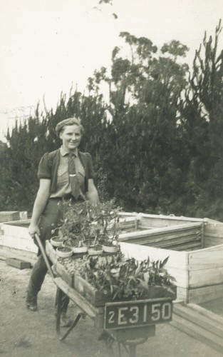 Betty Millar doing her bit for the war effort in the  Australian Women’s Land Army
