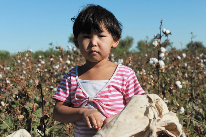 A child picking cotton