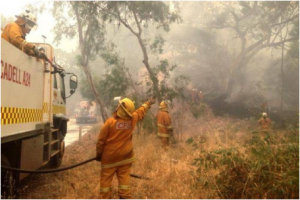 Adelaide Hills bushfires.