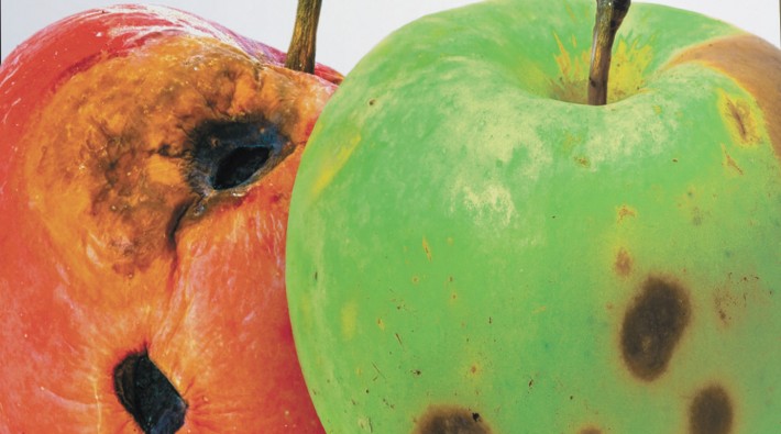 supermarket-monsters-xlight_web