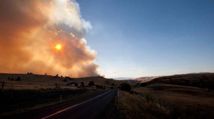 bushfire in Tasmania
