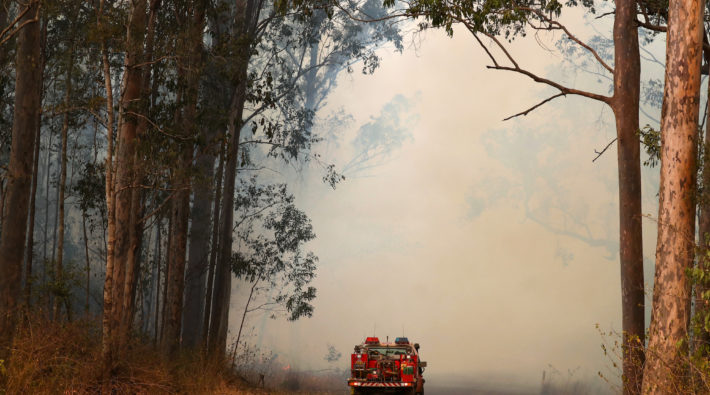 BUSHFIRES NSW